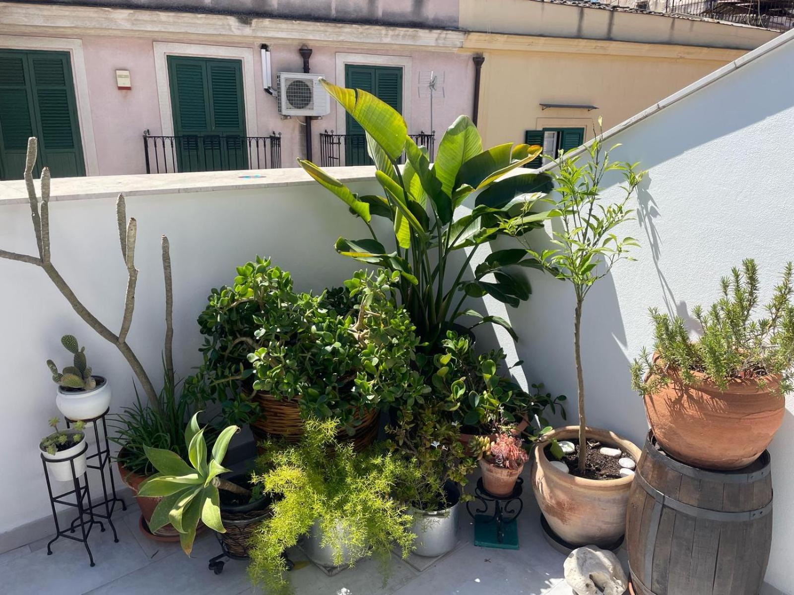 Terrazza Alla Cala Palerme Extérieur photo